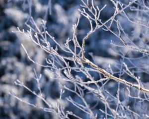 Чим потішить погода у другий день весни